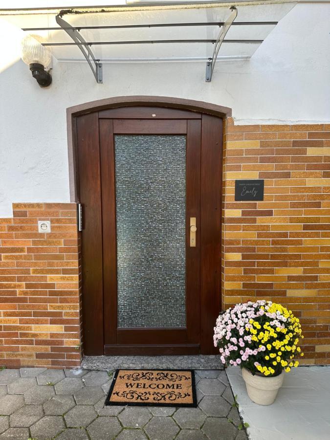 Sauerlandapartment Emely بليتنبرغ المظهر الخارجي الصورة